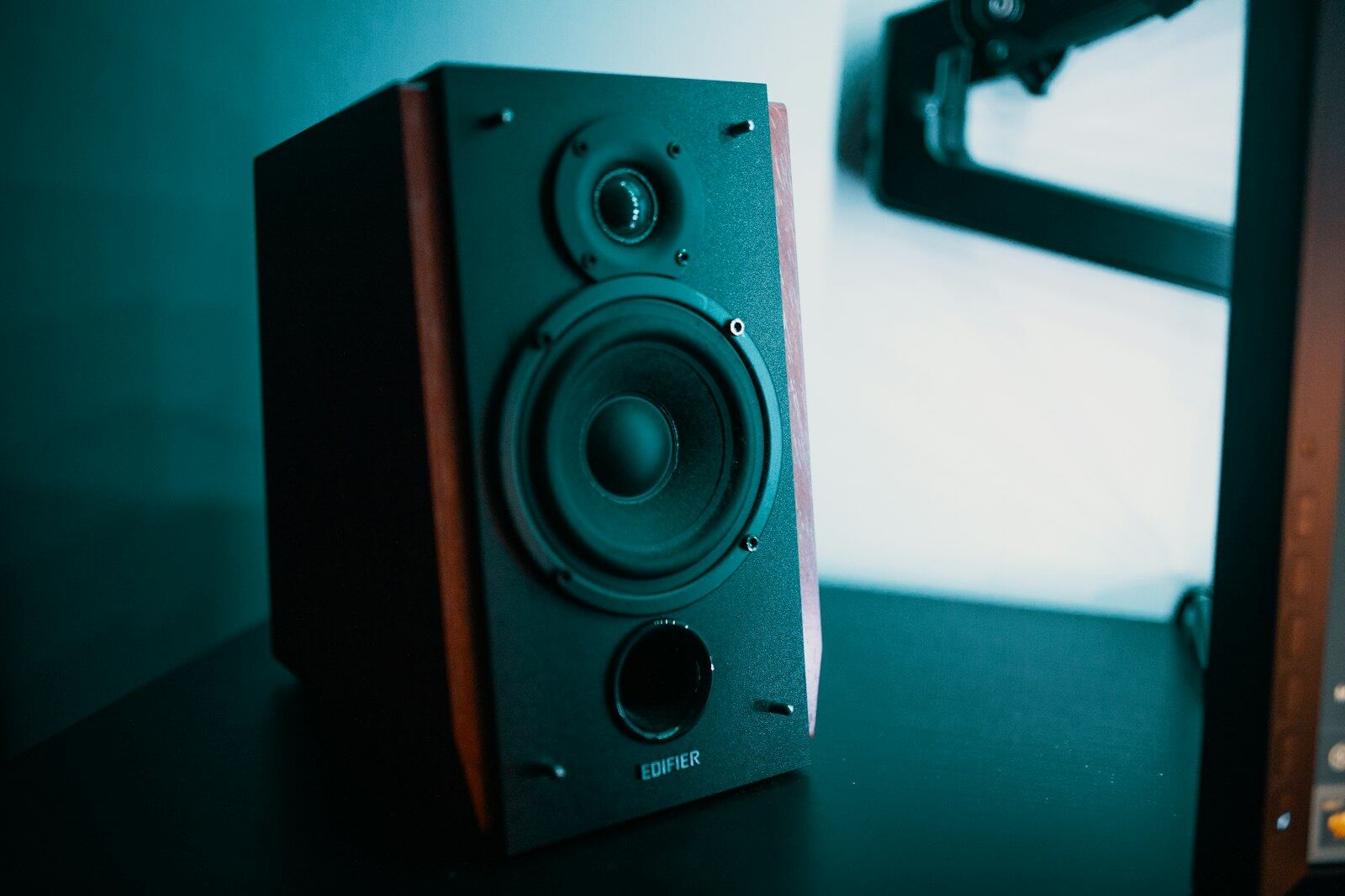 Bookshelf loudspeaker detail