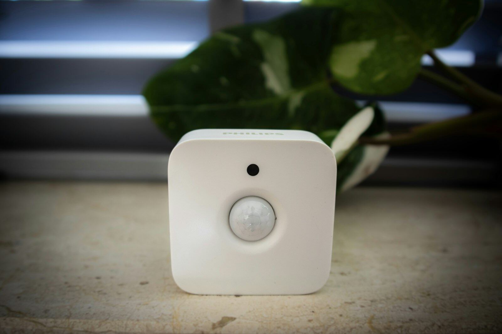 Intruder Alarms and Monitoring — example 3