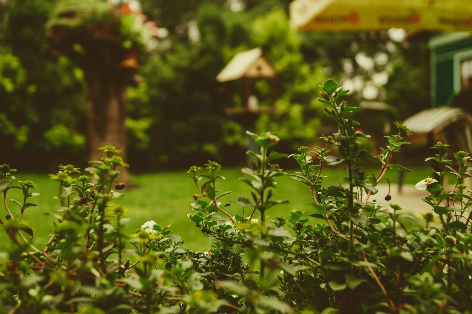 Outdoor and Garden Audio — example 3