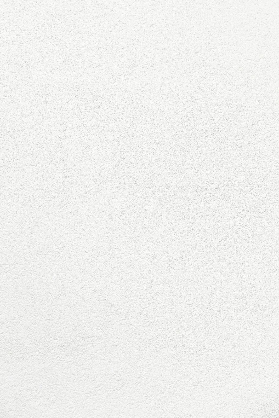 Paint and Decorative Finishes — example 3