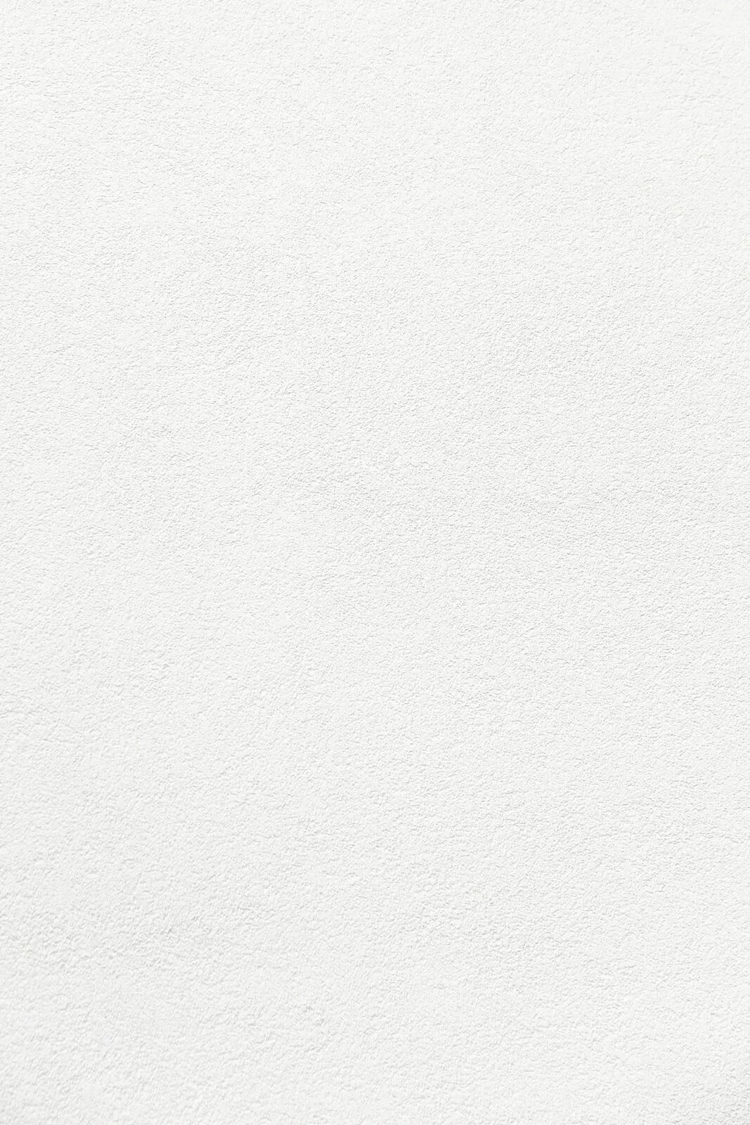 Paint and Decorative Finishes — example 3