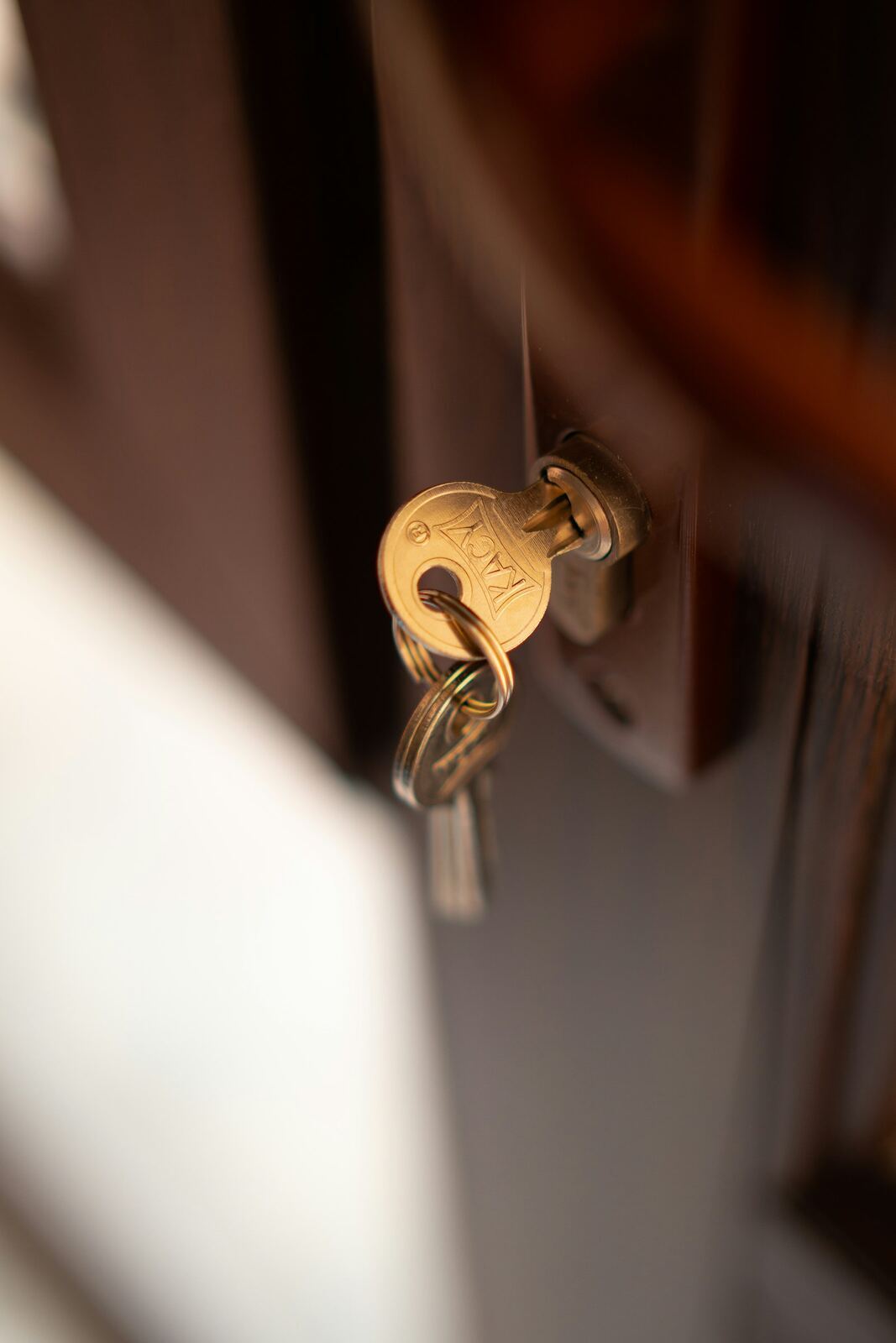 Smart Locks and Entry Systems — example 3